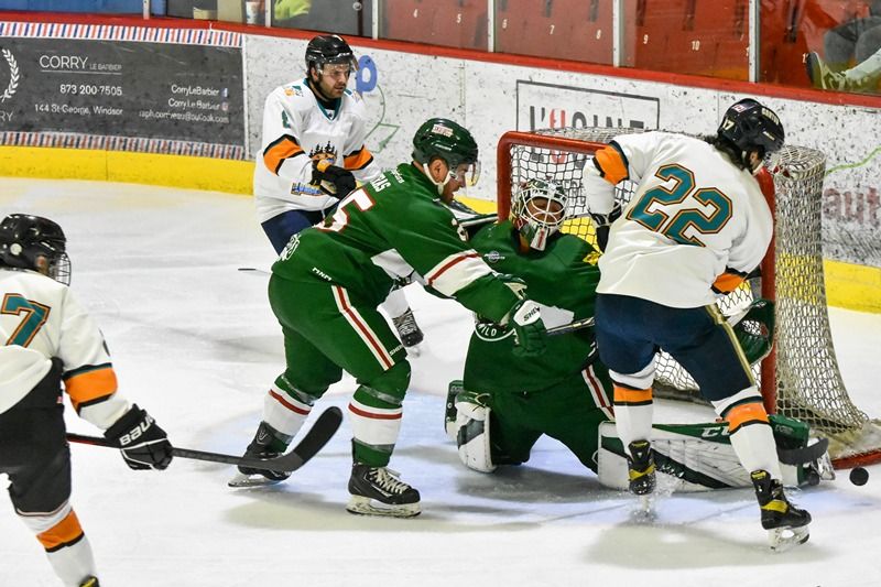 Ligne Régionale de Hockey 2023-2024 : le Wild de Windsor débute sa saison